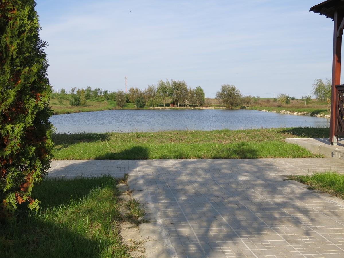 Conacul De Pe Lac Sagu Bagian luar foto